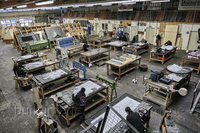 PRI_OrnamentKoln202601_003a